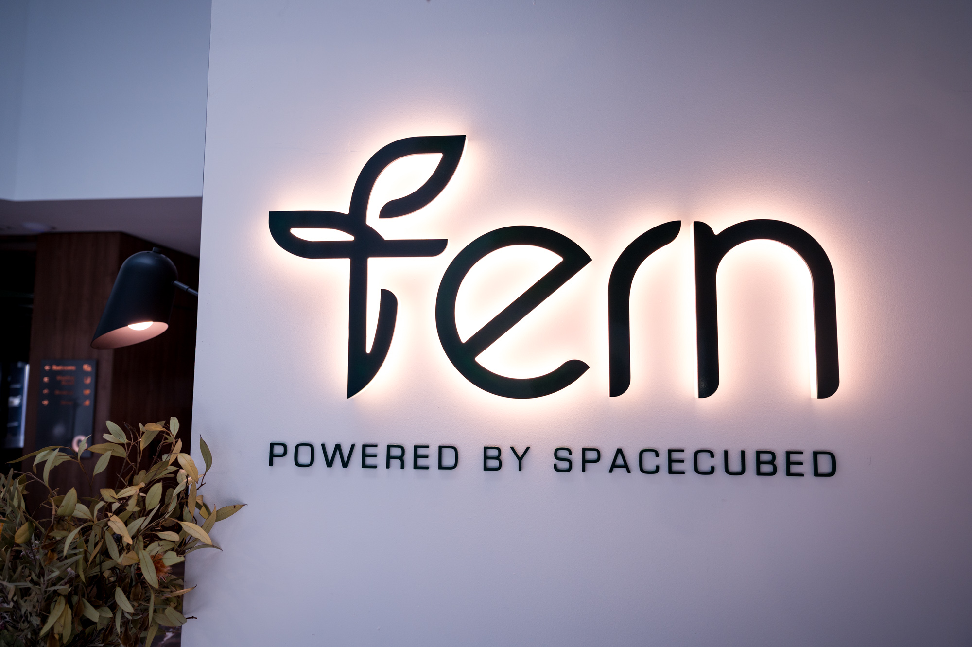 Illuminated logo at Fern co-working space in Perth