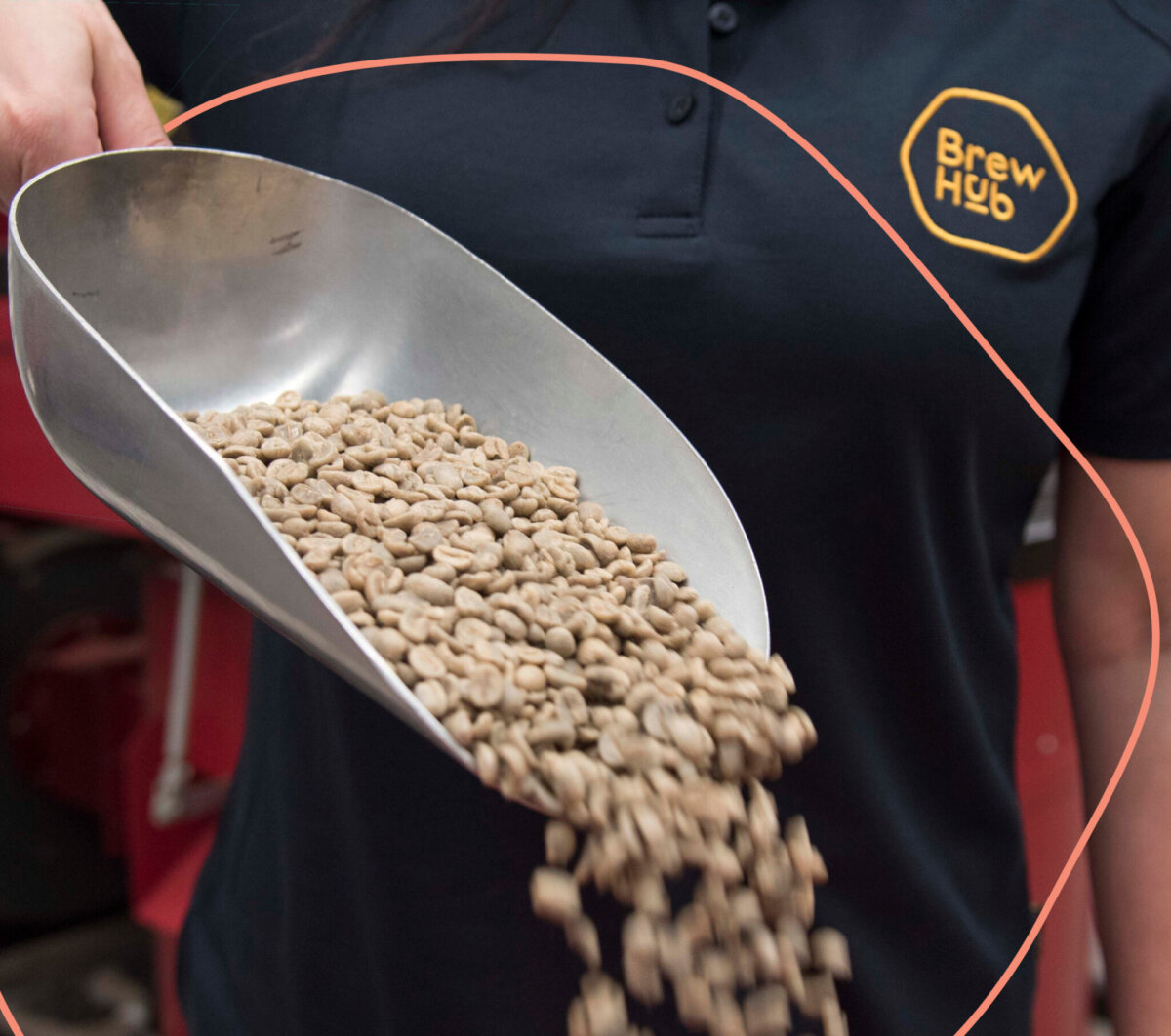 BrewHub employee pouring coffee grains from scoop